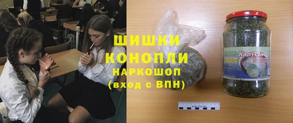сатива Волоколамск