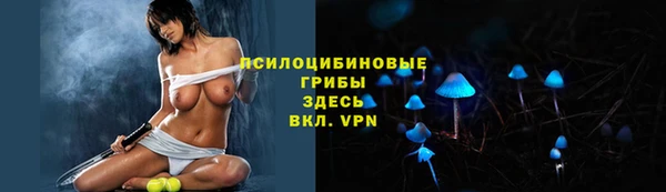 герыч Верхний Тагил