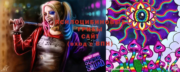 сатива Волоколамск