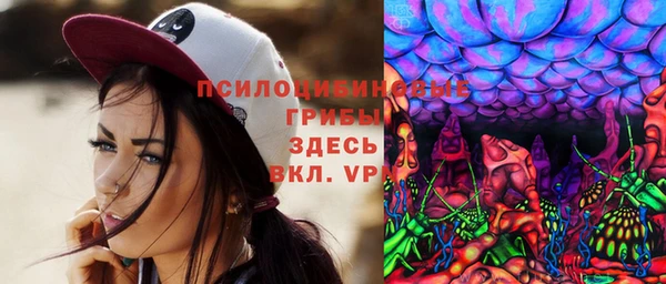 сатива Волоколамск