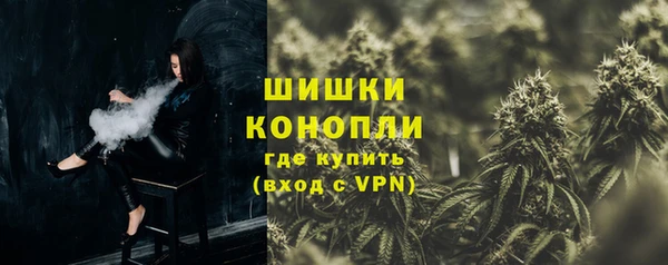 сатива Волоколамск